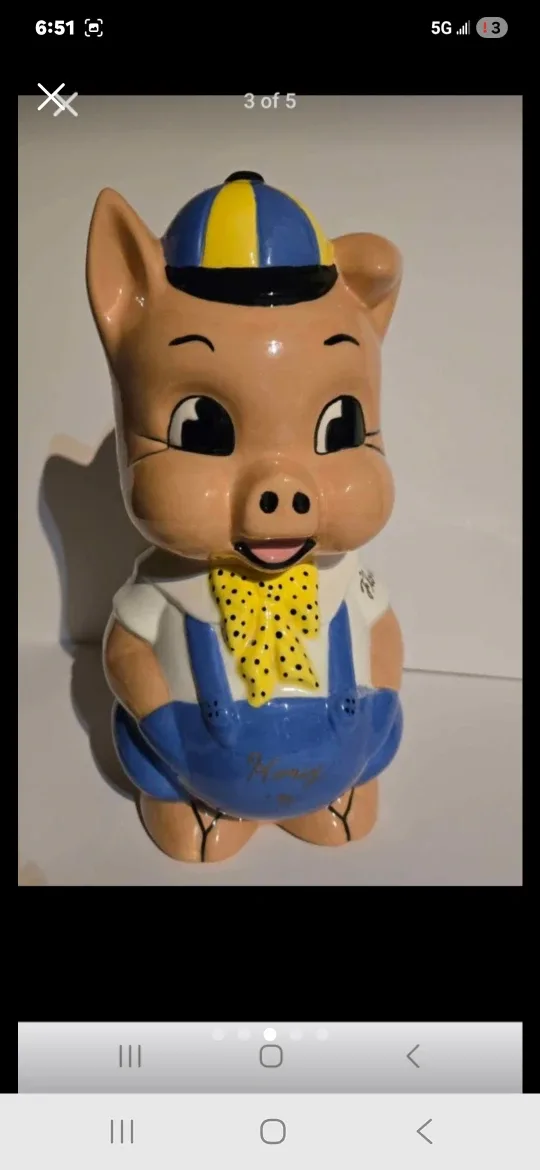 Vintage Florida Souvenir Piggy Bank image indicator(3)