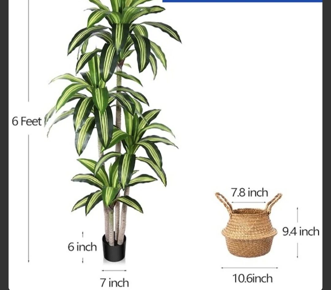 6ft Artificial Dracaena Plant - photo 3
