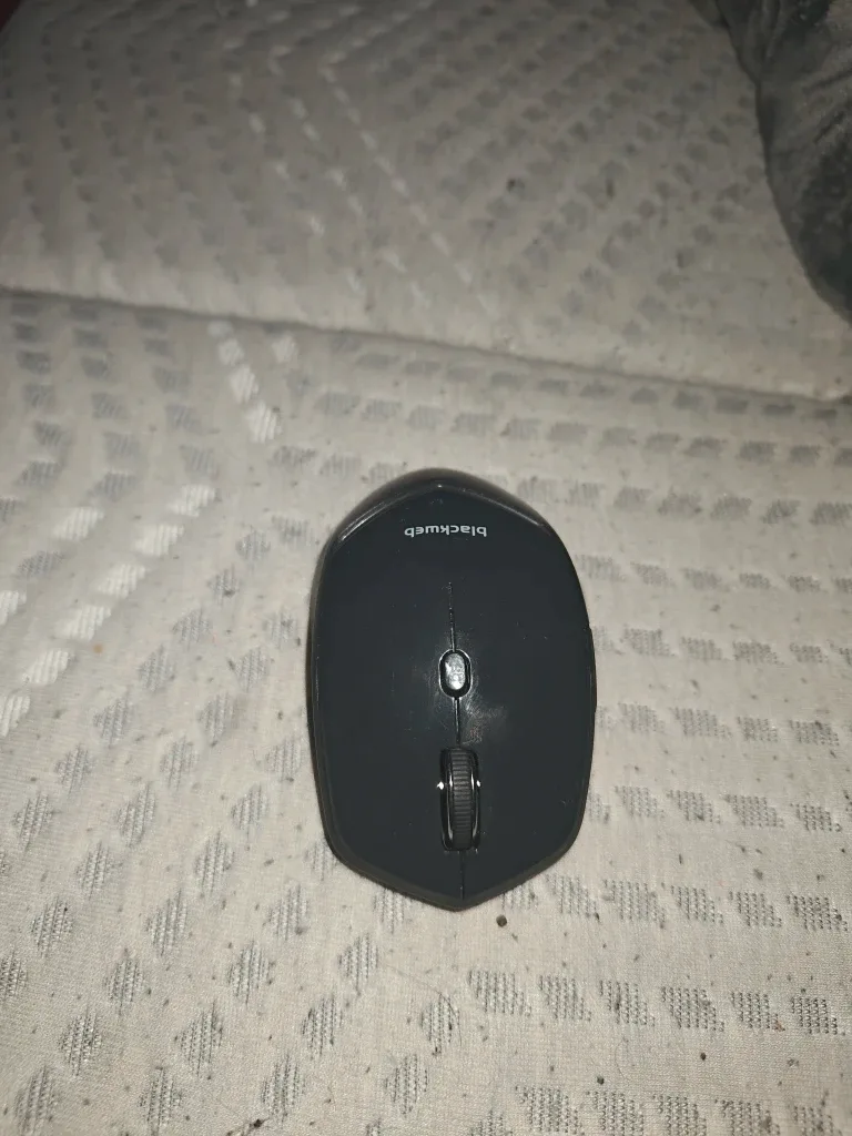 Blackweb Wireless Mouse