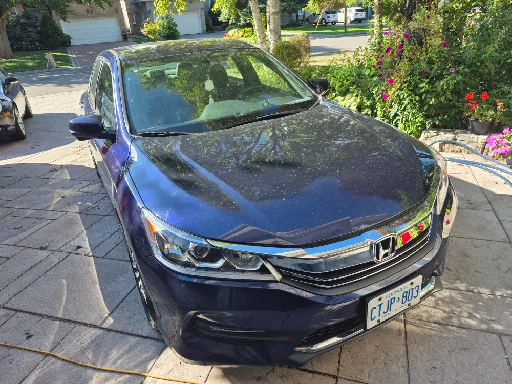 19 inch bmw rims and tires. Winter