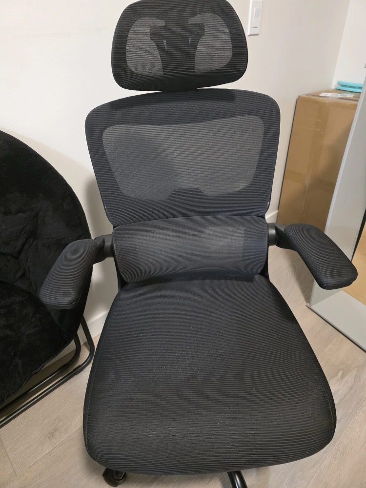 Ergonomic Mesh Office Chair - Black - photo 2