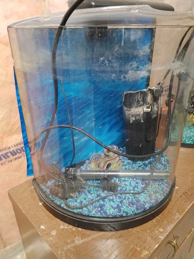 Fish Tank with Accessories