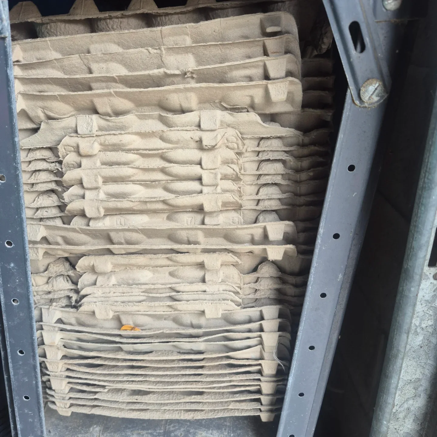 Eggs trays image indicator(2)