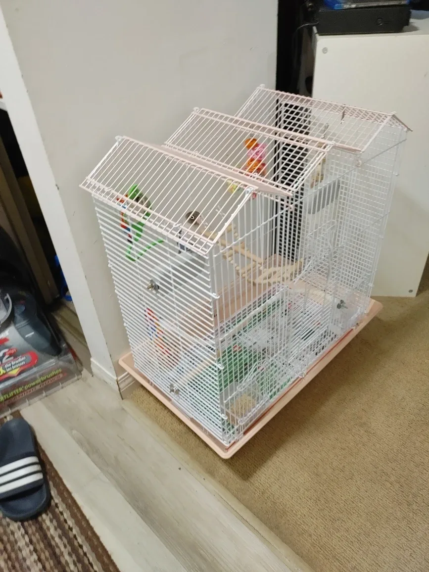 Large bird cage