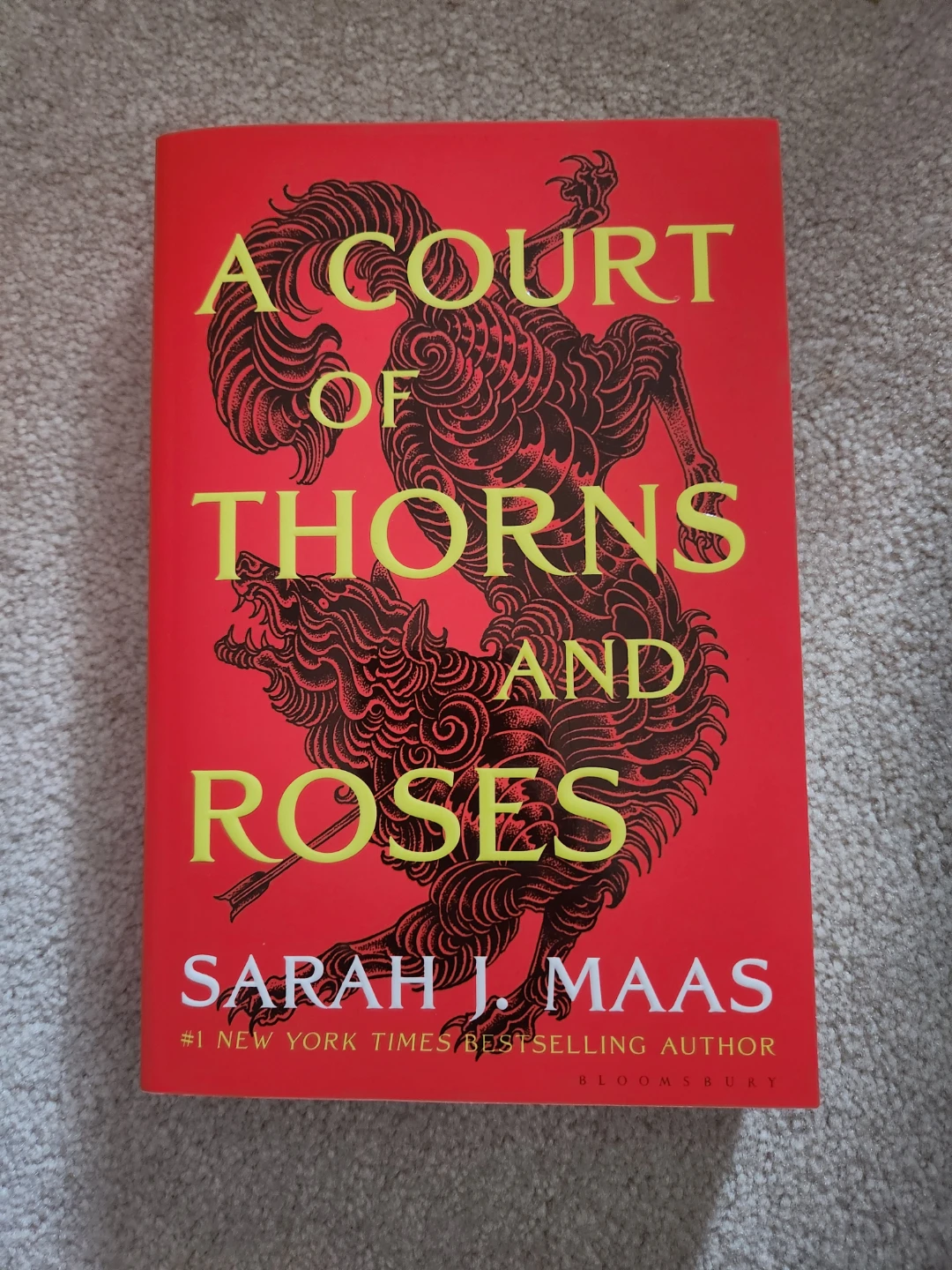 A Court of Thorns and Roses Series by Sarah J. Maas - photo 2
