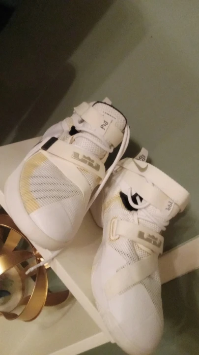 Lebron Sneakers