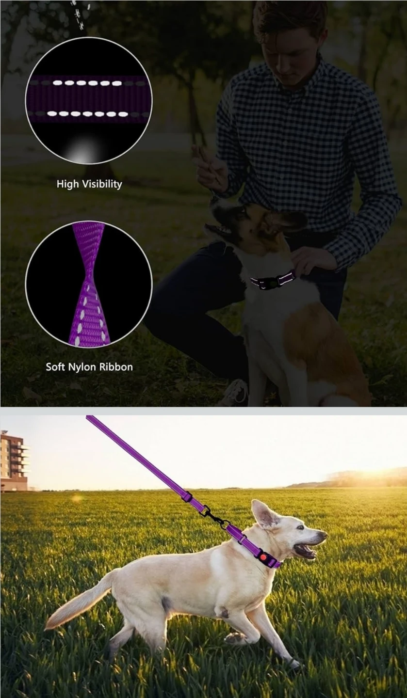 Purple Dog Collar & Leash Set -NEW - photo 2