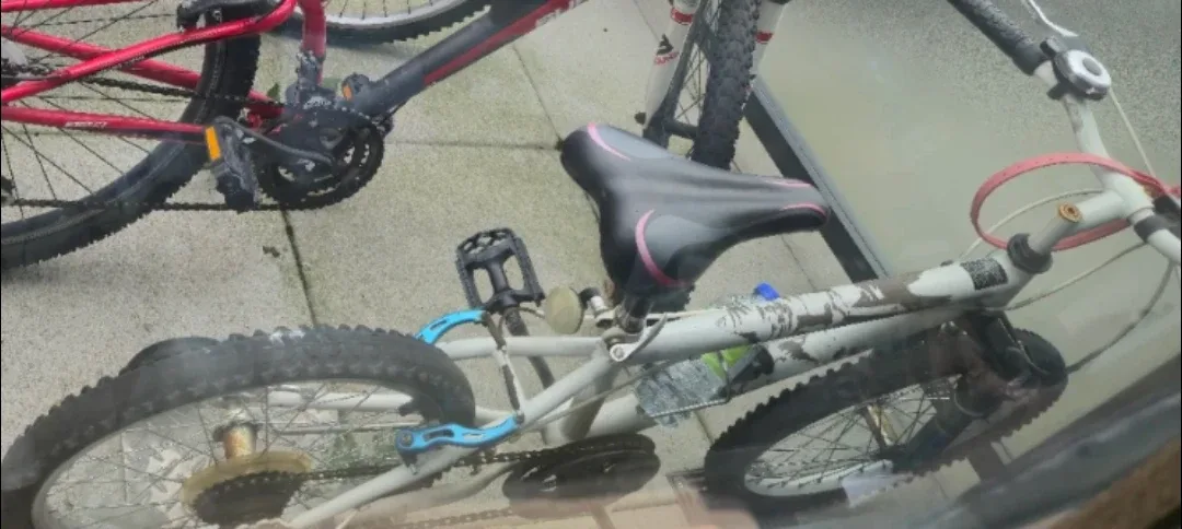 White Bicycle for #freecycle 🥕