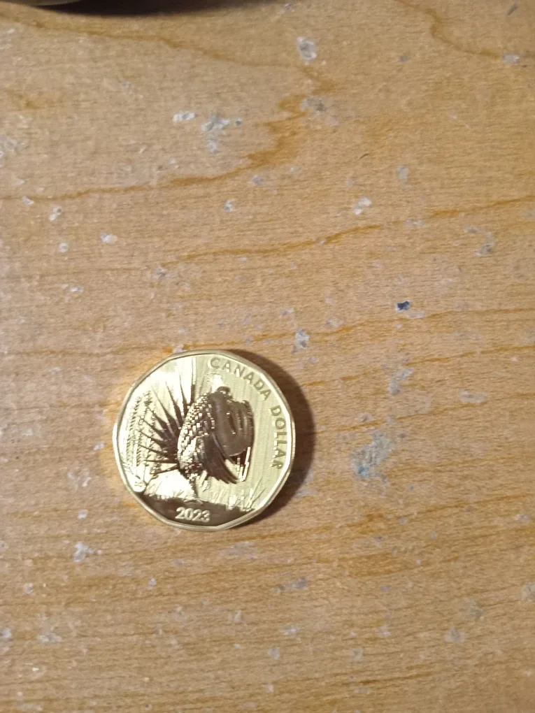 2023: 1952-2022 Cad Loonie