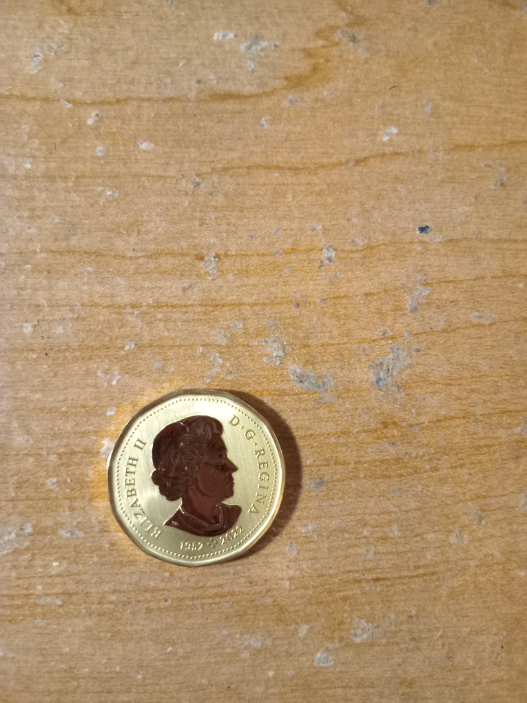 2023: 1952-2022 Cad Loonie - photo 3