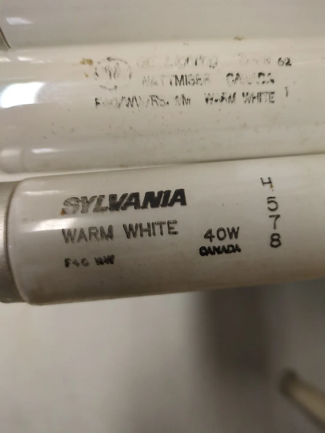 Fluorescent 40W Warm White Light Bulbs 🥕 image indicator(4)