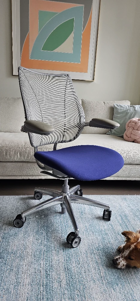 Humanscale Liberty Chair - Blue Seat, Gray grame, Aluminum base