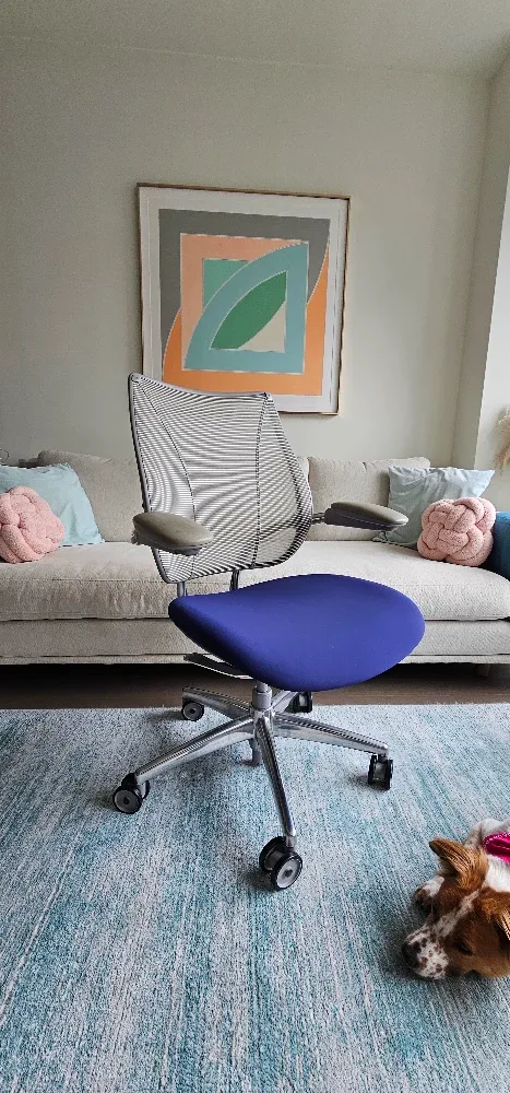 Humanscale Liberty Chair - Blue Seat, Gray grame, Aluminum base image indicator(3)