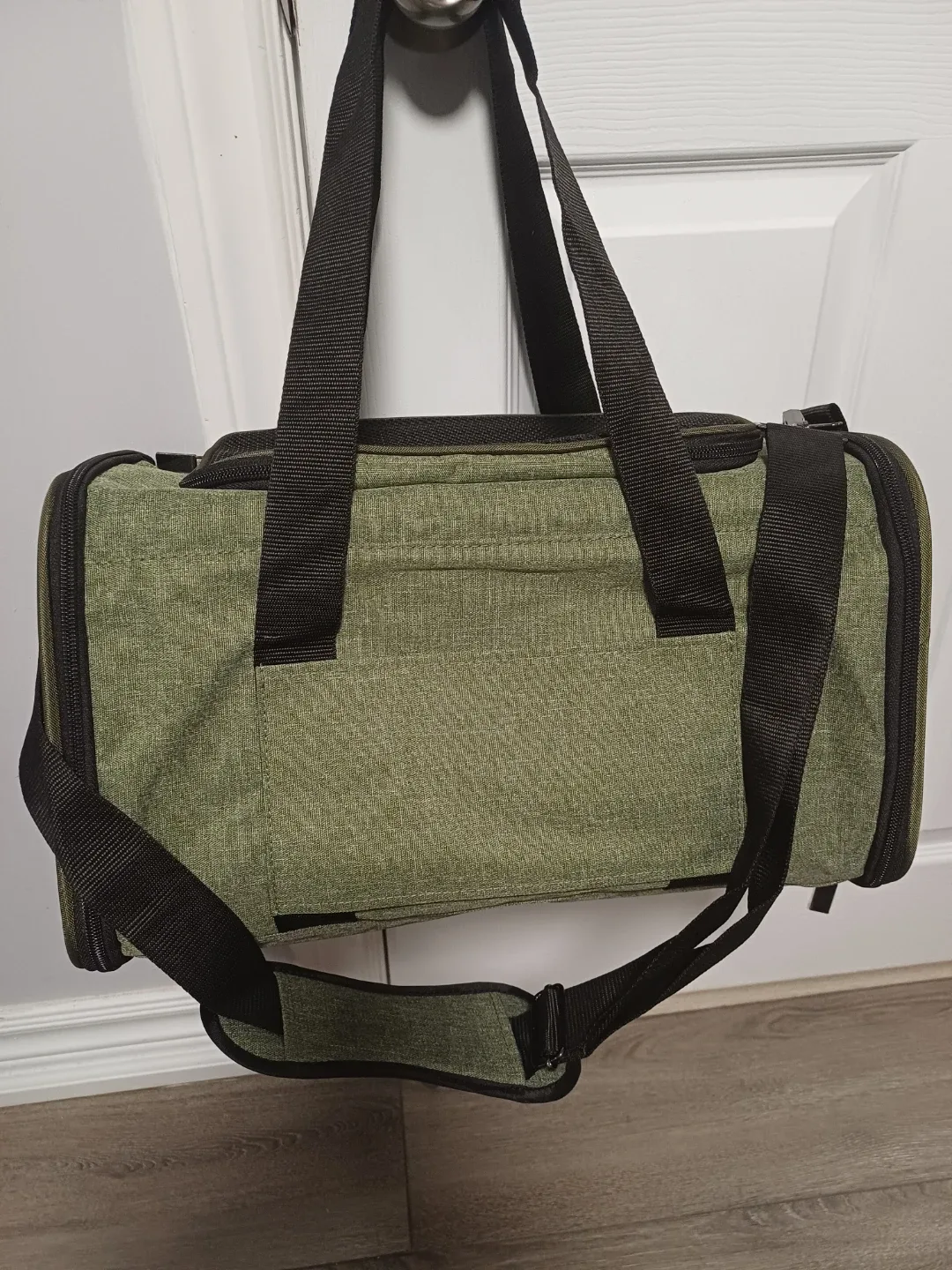 PetsFit Pet Carrier - Green image indicator(7)