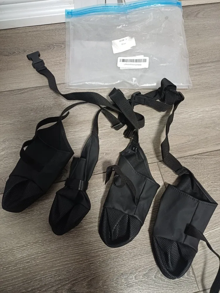 Dog Leggings - Size S - Black image indicator(4)