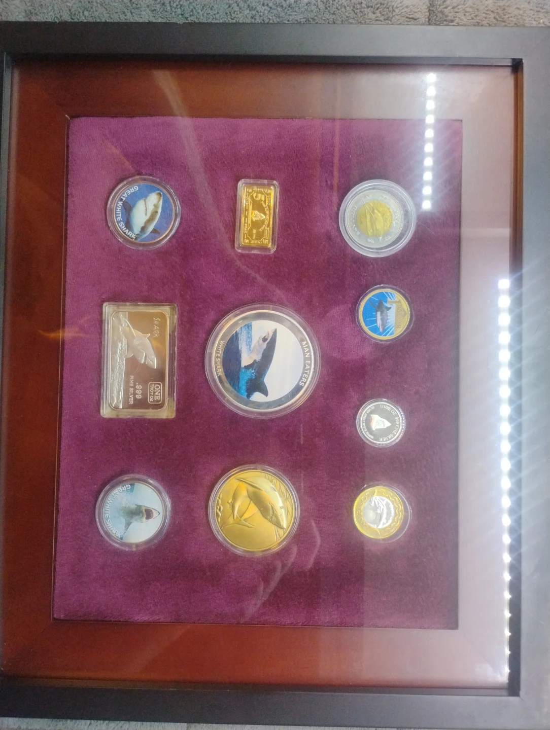 Framed Shark Coin Collection