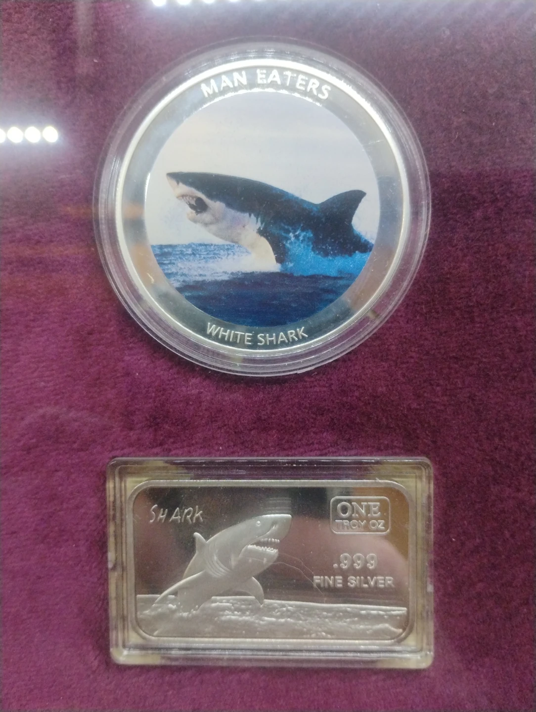 Framed Shark Coin Collection - photo 2