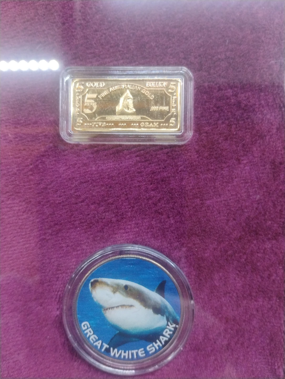 Framed Shark Coin Collection - photo 3