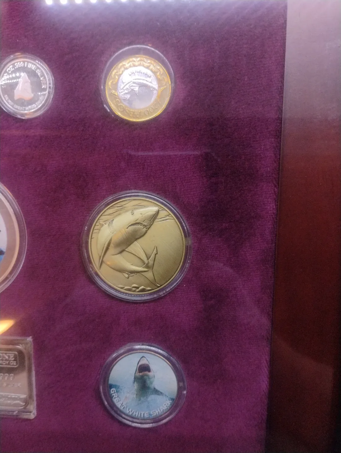 Framed Shark Coin Collection image indicator(4)