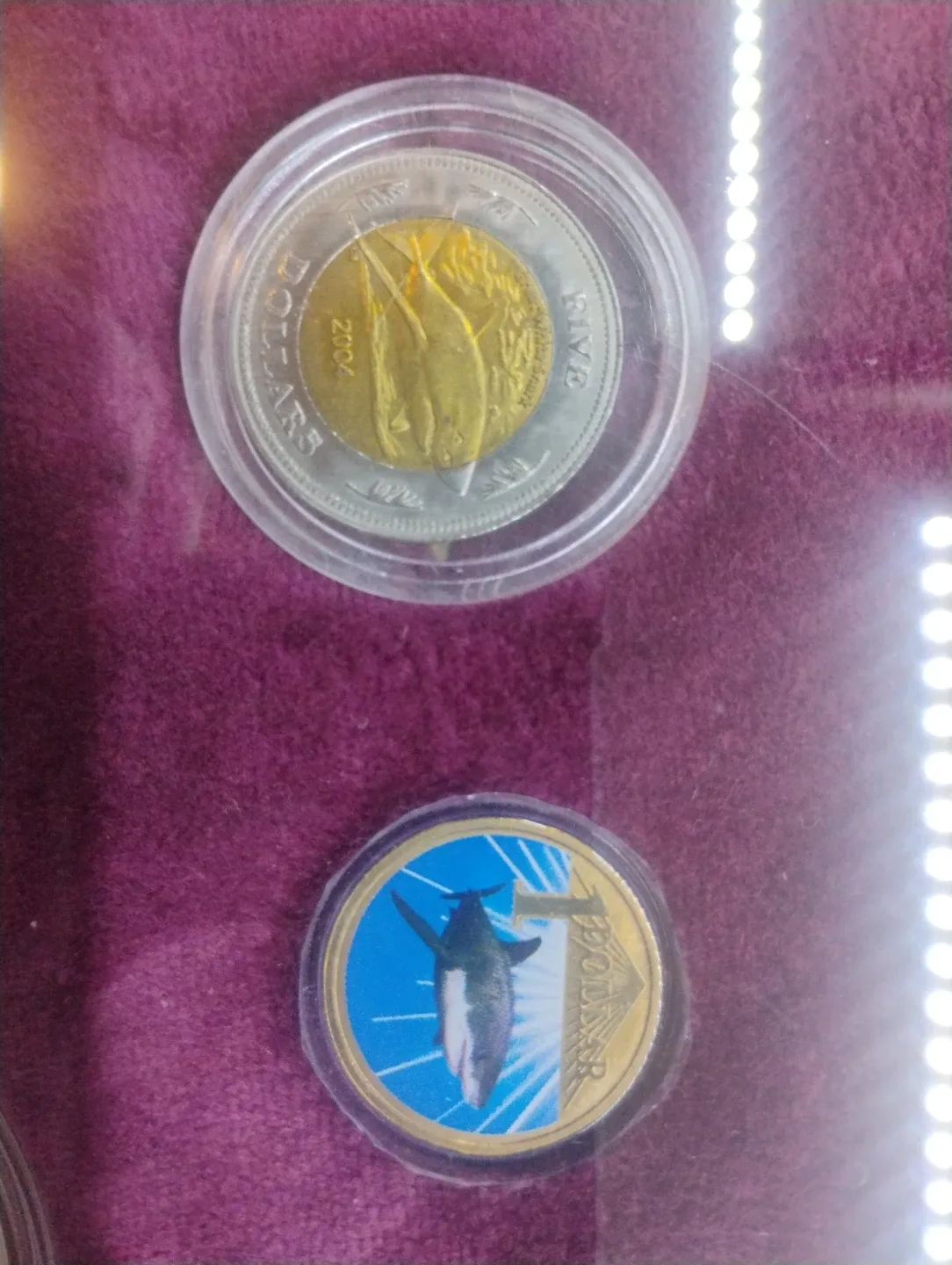 Framed Shark Coin Collection image indicator(5)