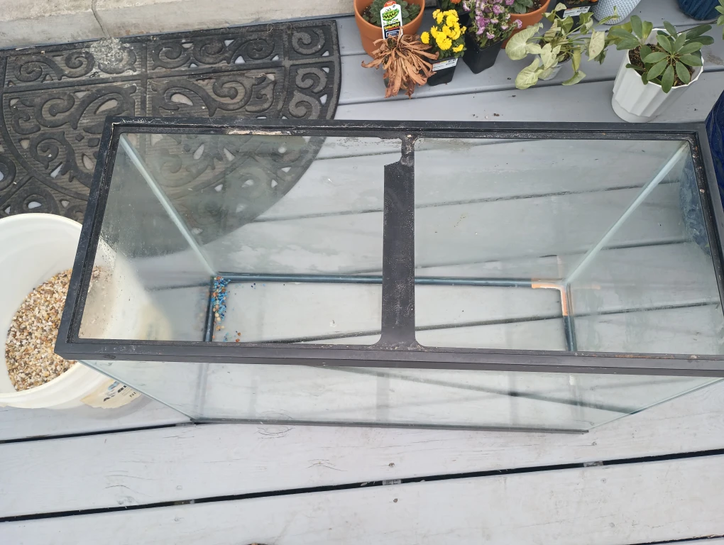 Fish Tank - photo 2