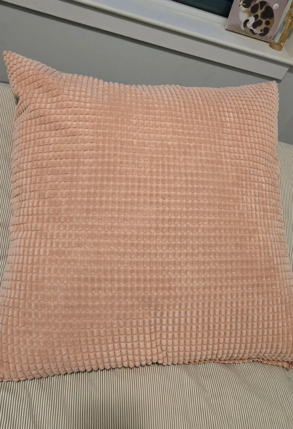 Cute Beige Plushie image indicator(2)