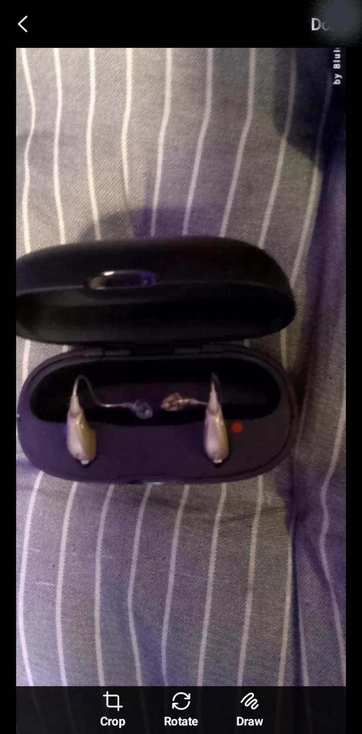 🥕Oticon Zircon Hearing Aids with Case and manual image indicator(8)