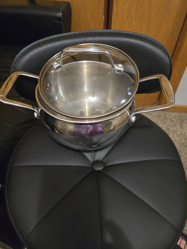 Stainless Steel Saucepan with Lid