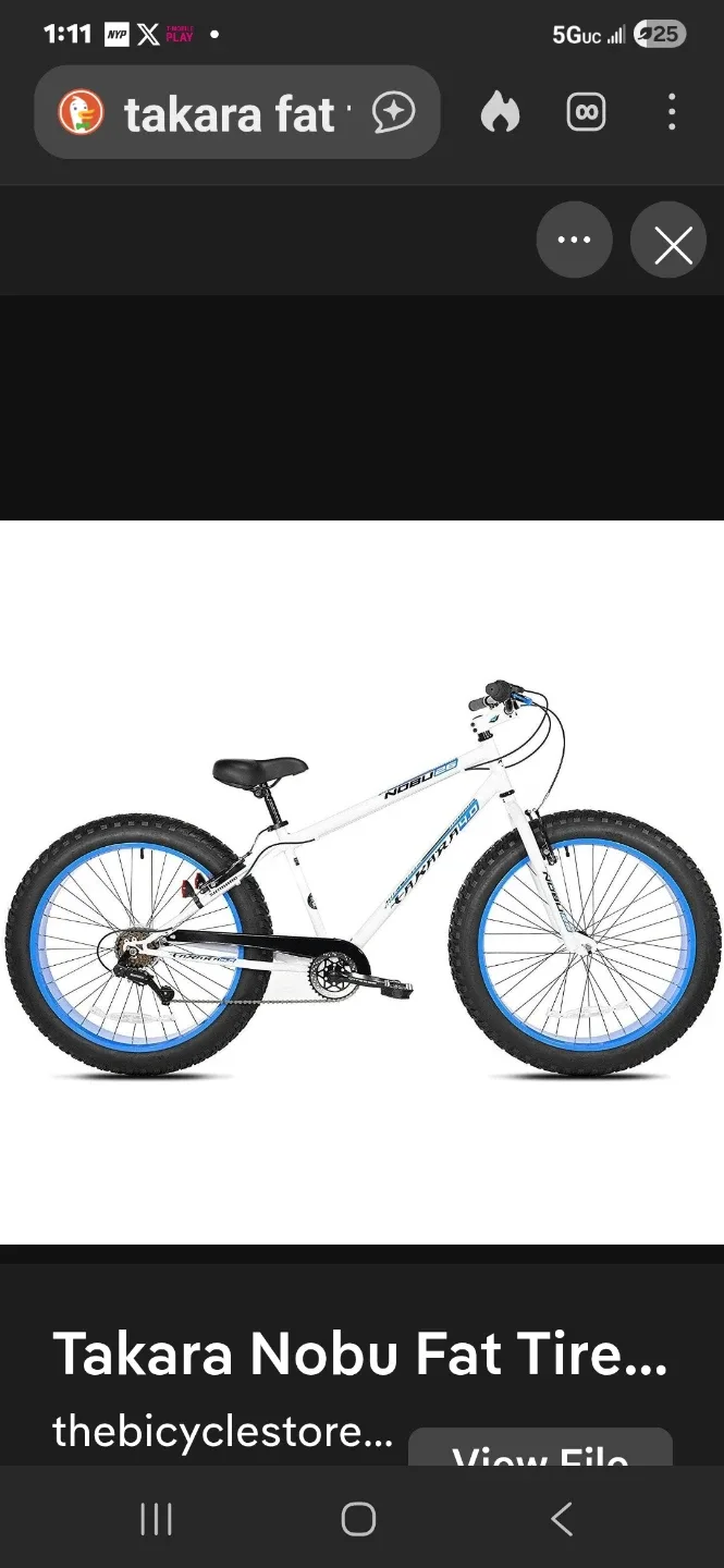 Takara Nobu Fat Tire Bike image indicator(2)