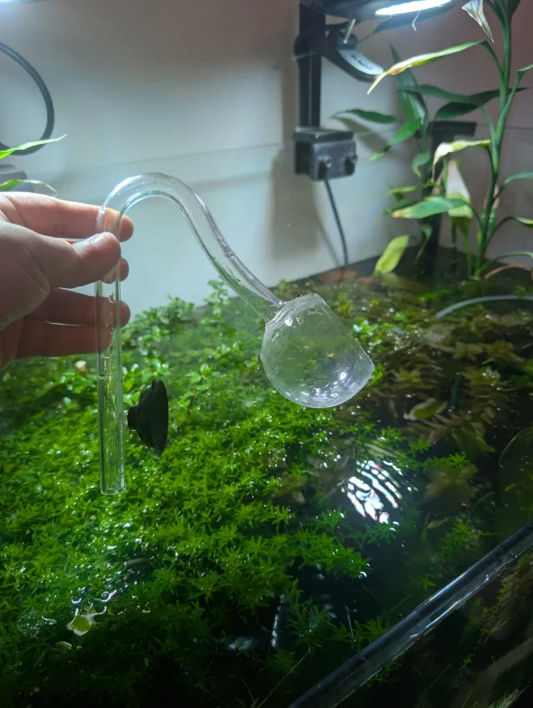 Glass outflow pipe (lily) for aquarium image indicator(4)