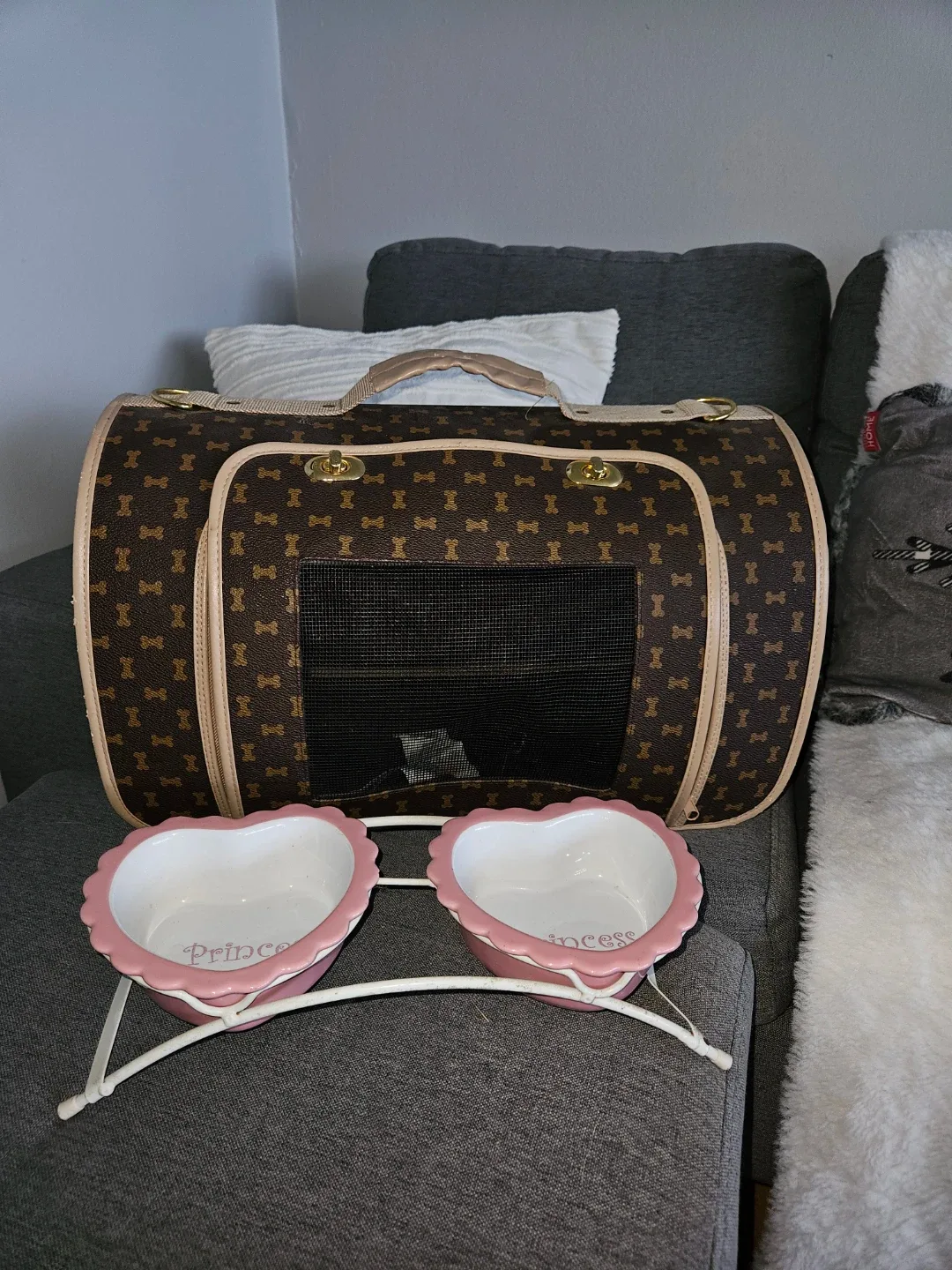 Simply Dog Pet Carrier & Princess Bowls