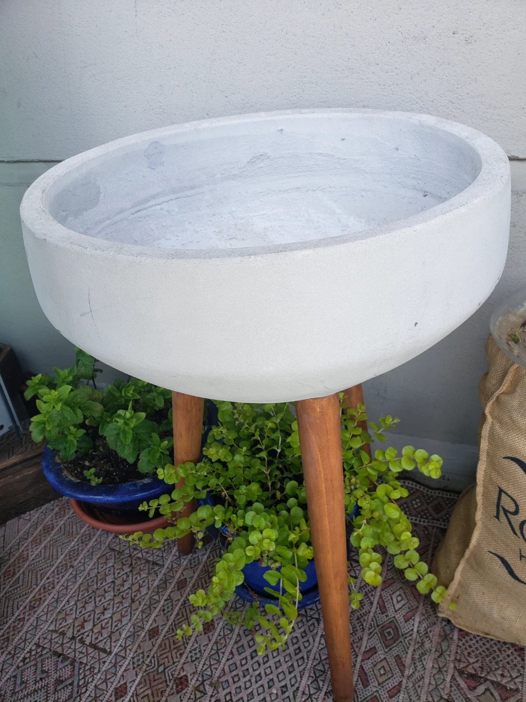 Concrete Planter Bowl with Wood Legs