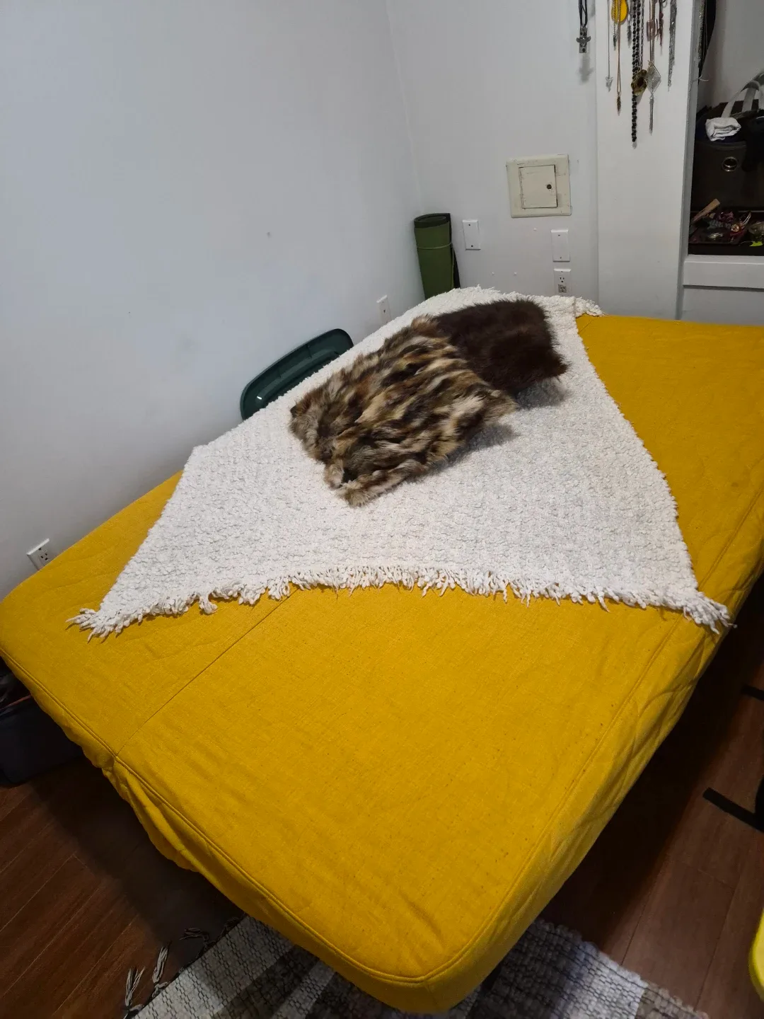 Yellow couch image indicator(2)