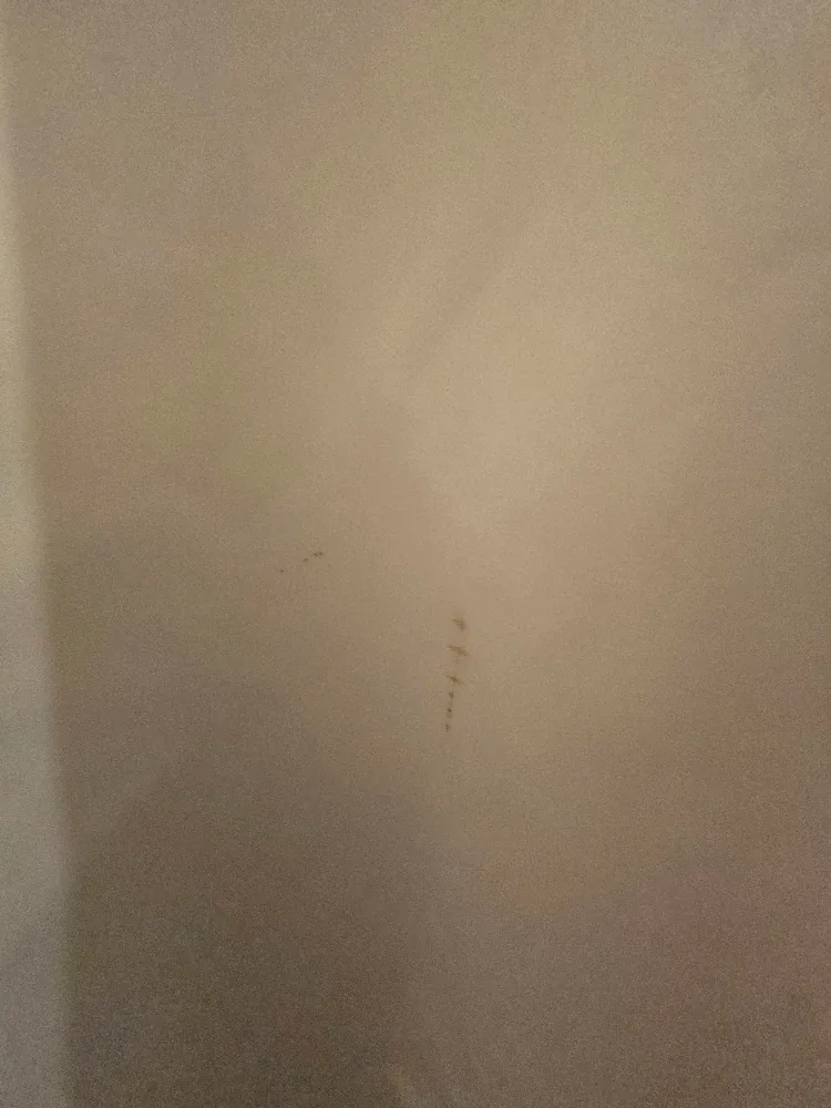 White Wedding Dress - Size 8 image indicator(9)