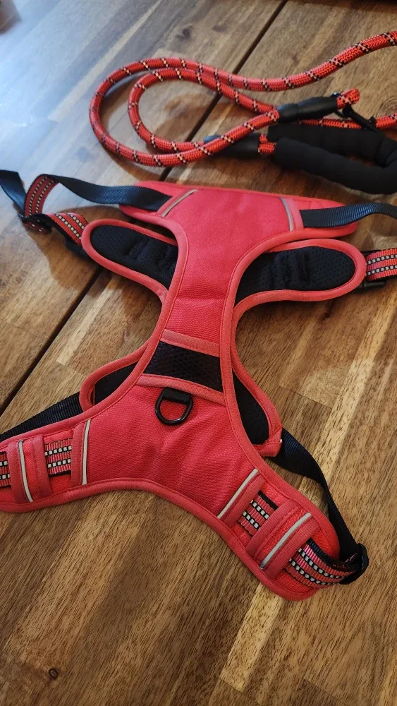 No-Pull Dog Harness with Leash XL *new