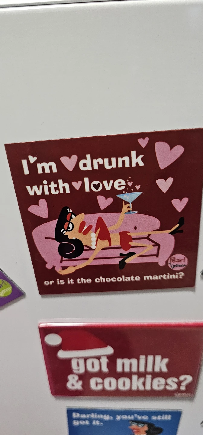 A bunch of Fridge Magnets - Assorted Funny Designs - photo 3