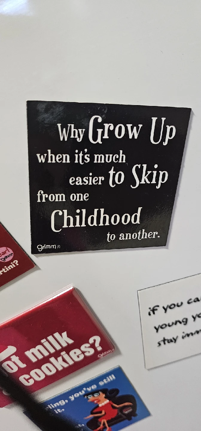 A bunch of Fridge Magnets - Assorted Funny Designs - photo 4