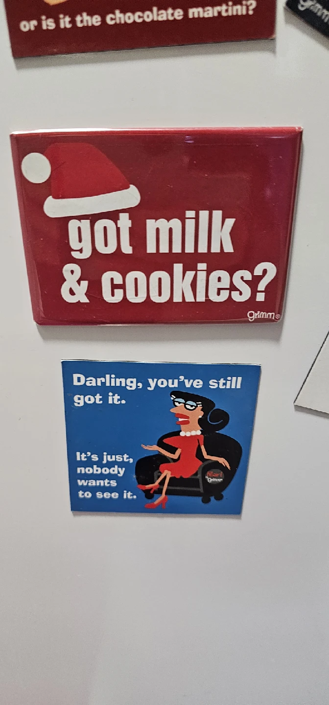 A bunch of Fridge Magnets - Assorted Funny Designs - photo 5