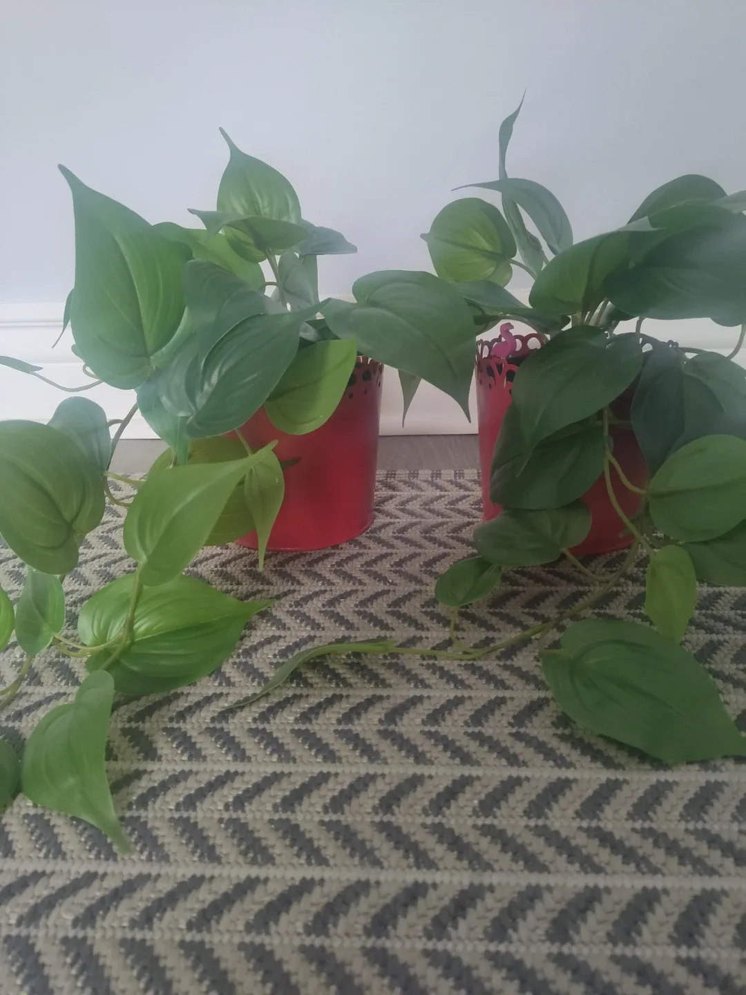 Set of Artificial Potted Heartleaf Plants