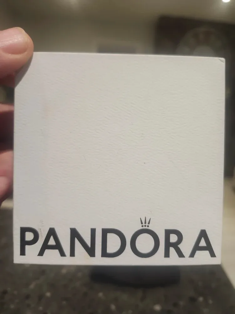 Pandora Silver Charm Bracelet with Heart Clasp