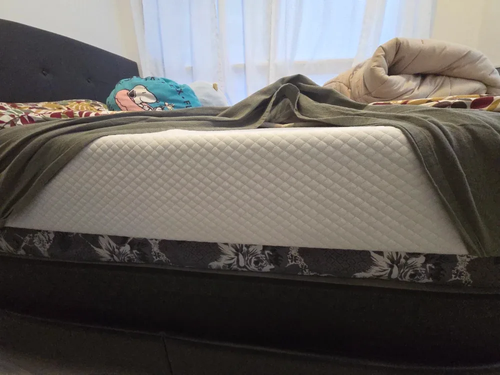 Queen Size Bed Frame & Mattress image indicator(3)