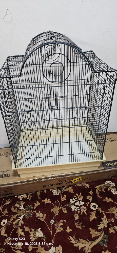 Bird Cage - Black