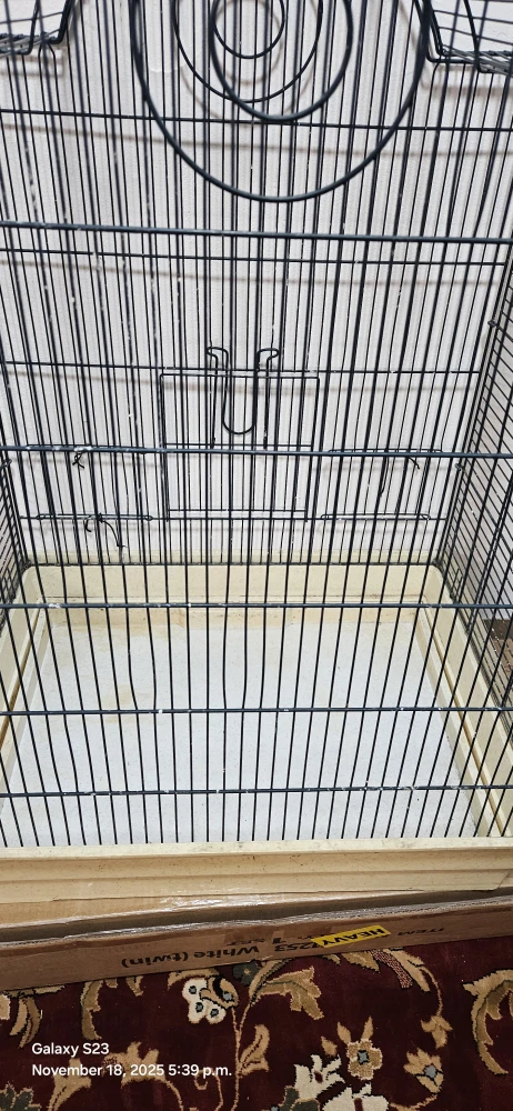 Bird Cage - Black - photo 2