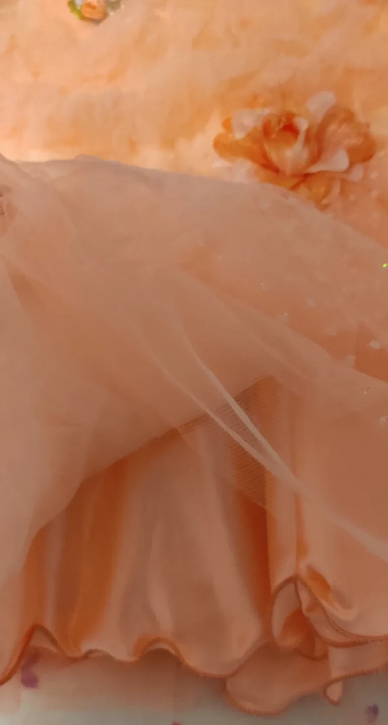 Peach Flower Girl Dress image indicator(2)