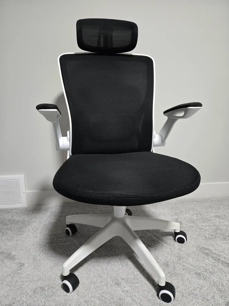 Ergonomic Office Chair - Black & White