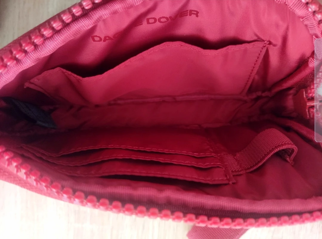 (Brand New) Dagne Dover Crossbody Bag - photo 3