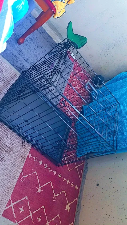 MidWest iCrate 24.5" Dog Crate image indicator(3)