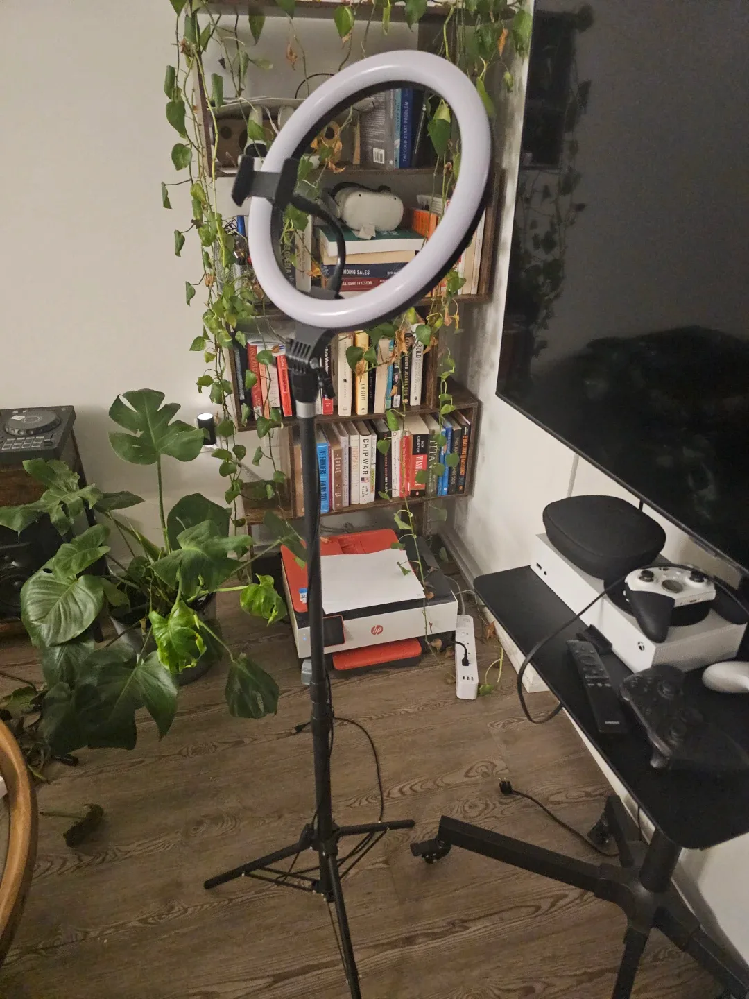 Ring Light with Tripod Stand | 7 colors