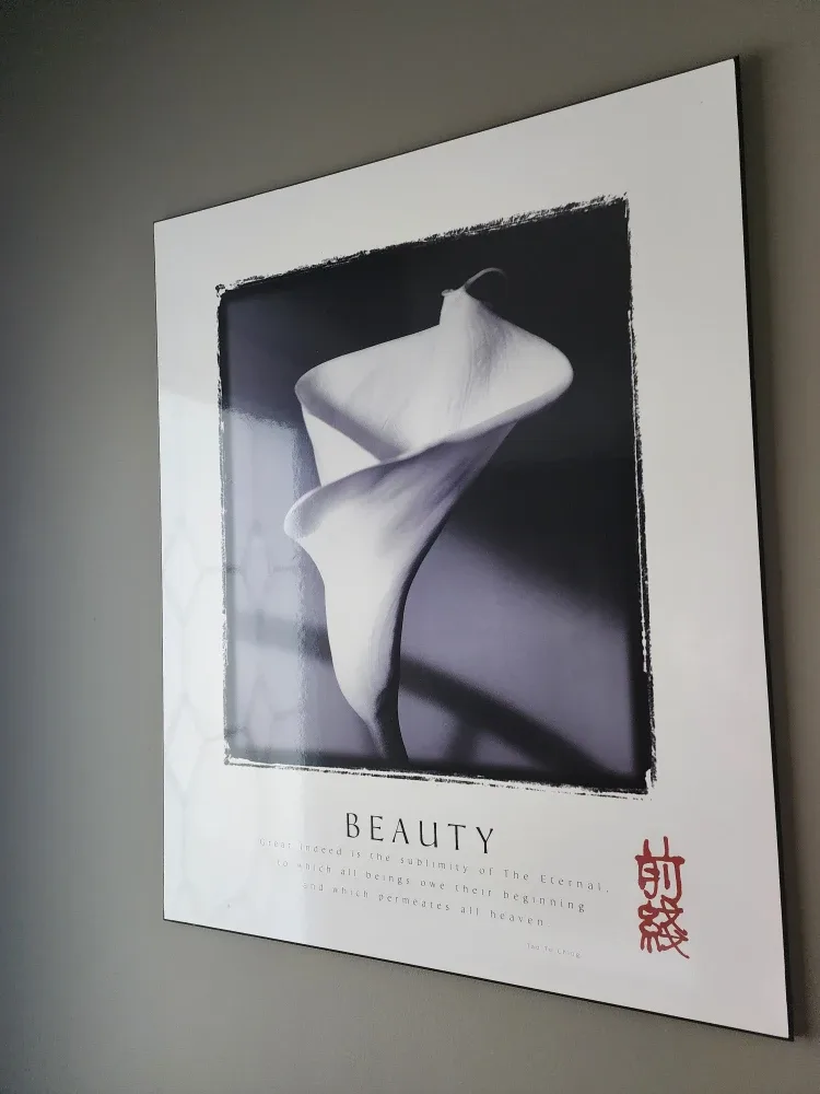 Beauty Lily Flower Wall Art / artwork / home decor