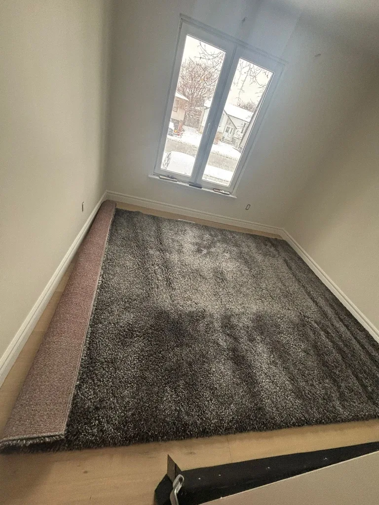 Grey Shag Rug